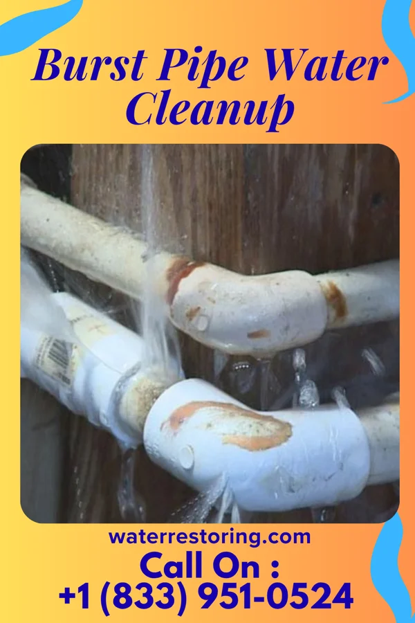 Burst Pipe Water Cleanup in Big Stone City, SD