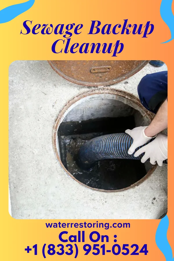 Sewage Backup Cleanup in Big Stone City, SD